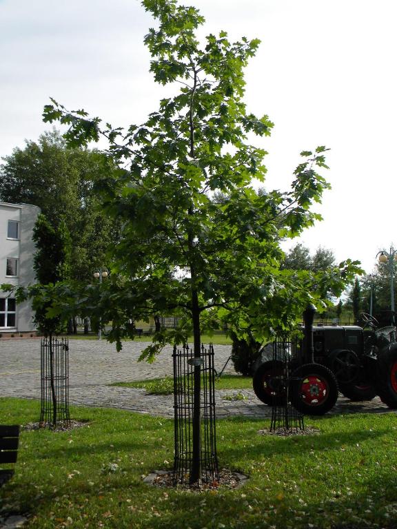 Zahrada ubytování Hotel Kosmonauty Wrocław-Airport