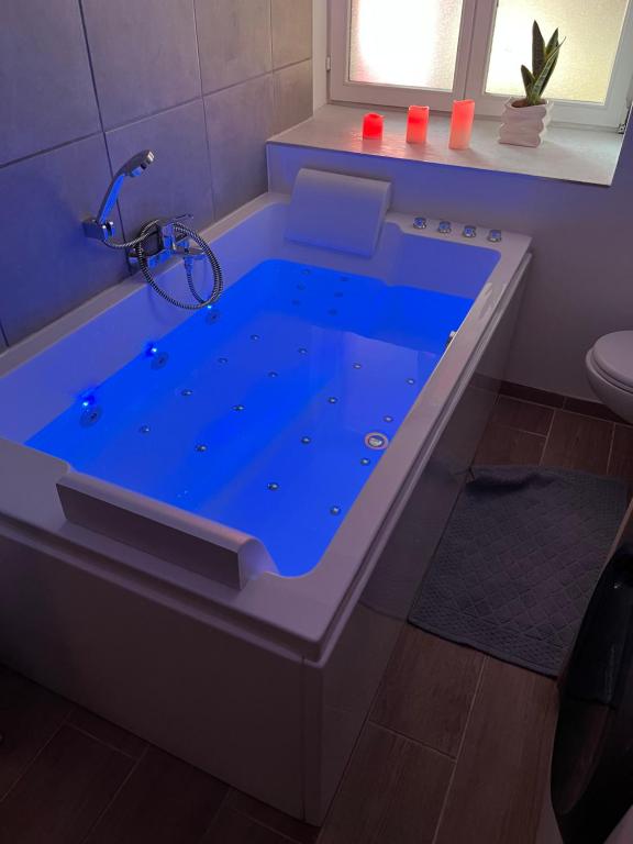 Lautenbach的住宿－L’Alsacienne room et spa，浴室设有蓝色泳池和浴缸