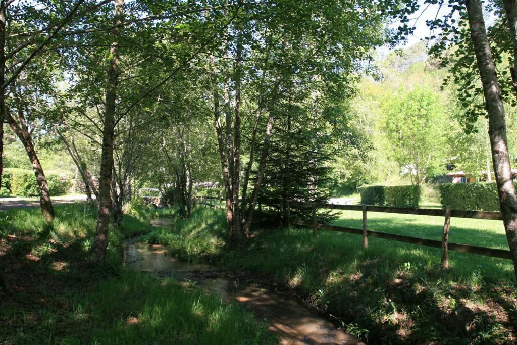Príroda v okolí kempingu