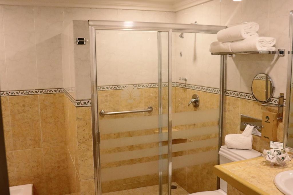 Koupelna v ubytování Suites Layfer, Córdoba, Veracruz, México