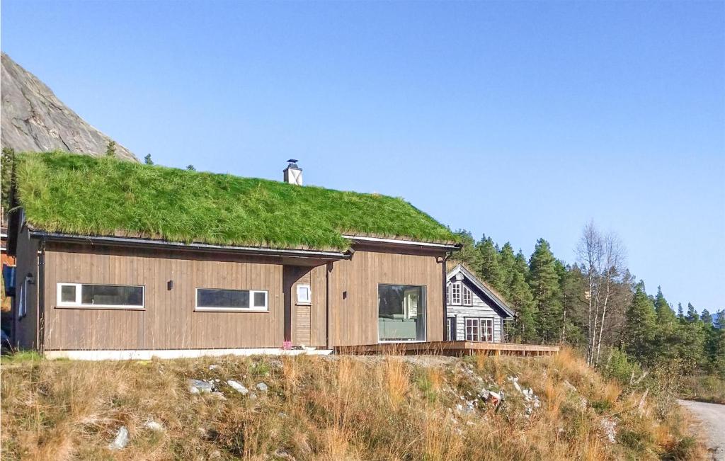 a house with a grass roof on top of it at Gorgeous Home In Rysstad With House A Mountain View in Rysstad