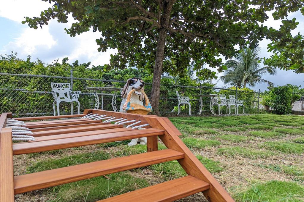 A garden outside Howard Kenting Wonder House