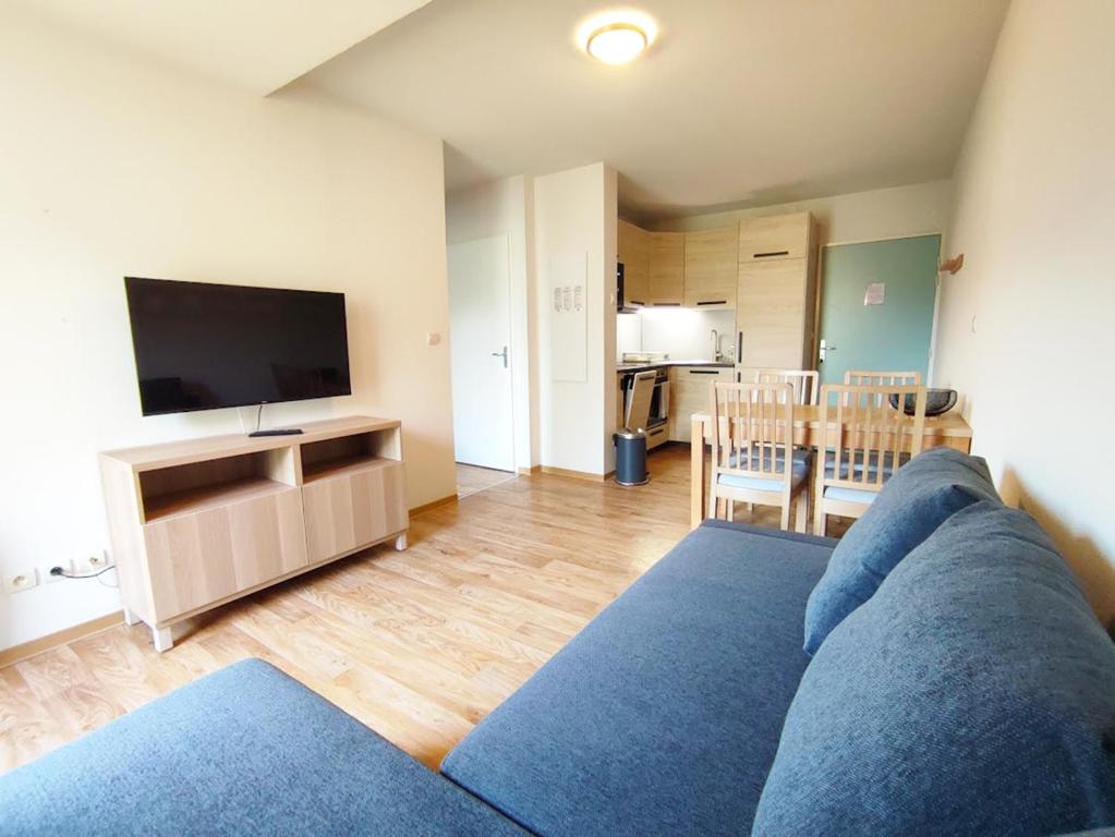 a living room with a blue couch and a flat screen tv at Le Flocon, T2, vue montagne, parking gratuit, 4 personnes in Luchon