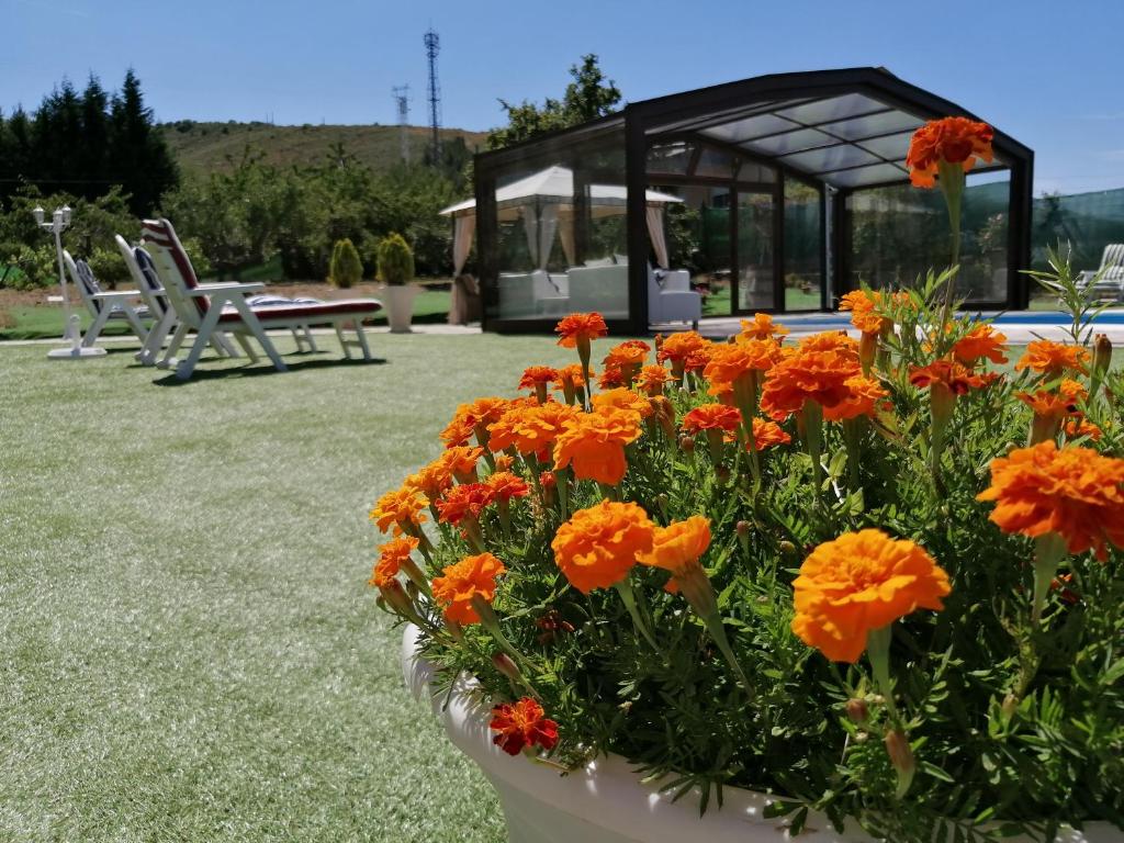 Zahrada ubytování Casa Rural Elias