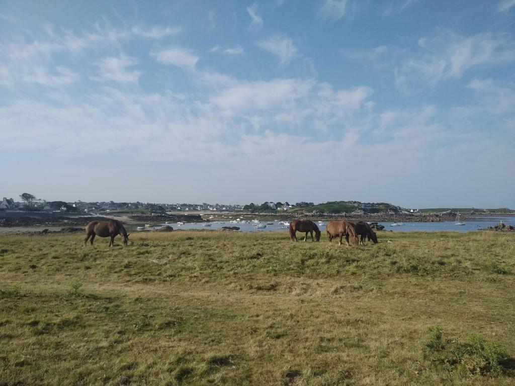 Studio 10 min à pied plage d'Argenton - Housity
