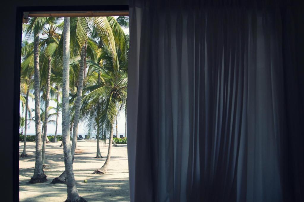 Fotografie z fotogalerie ubytování Tayrona Tented Lodge v destinaci Guachaca