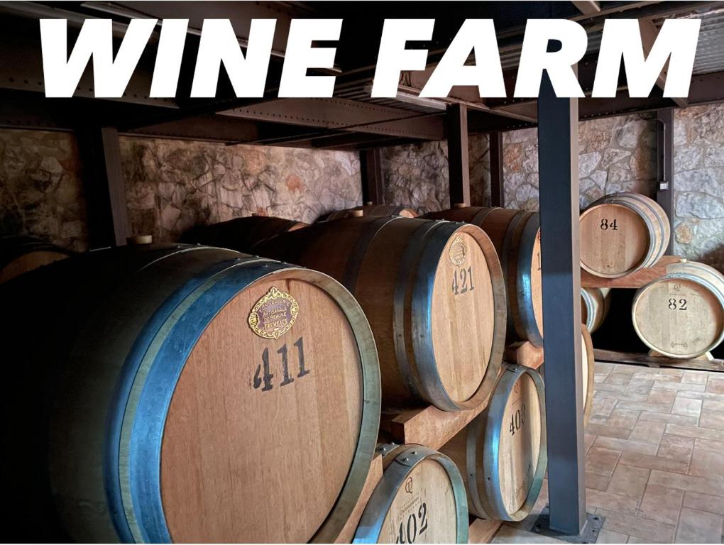 Um monte de barris de vinho num celeiro de vinho. em IL COLOMBAIO WINERY & Rooms em Monteriggioni