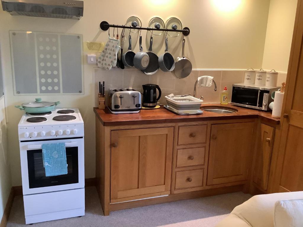 a kitchen with a stove and a white oven at polgoon Vineyard annex Penzance in Penzance