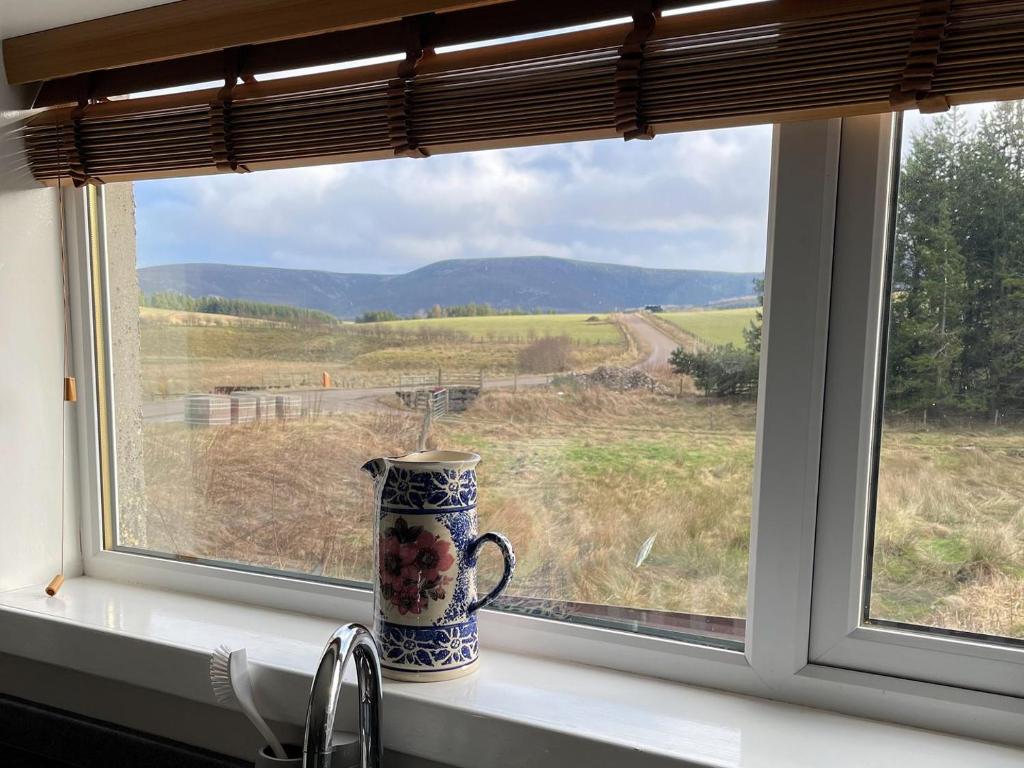 a vase sitting on a window sill looking out at a field at Nether Clashnoir in Auchnarrow
