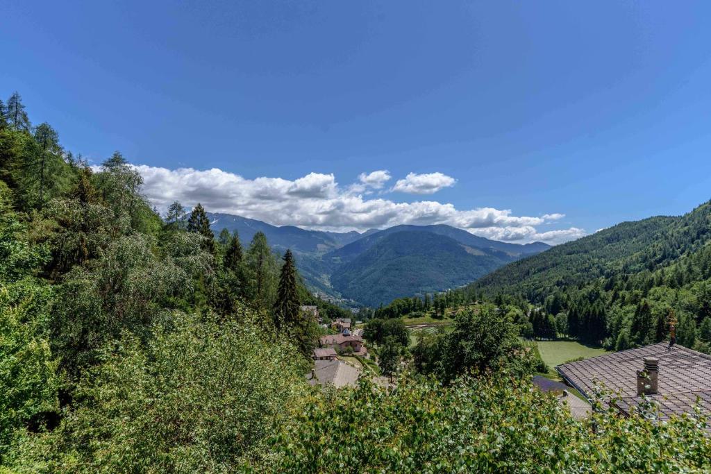 Príroda v okolí apartmánu