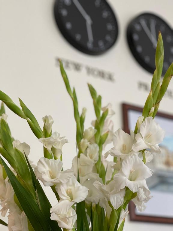 WINDSOR SPA Hotel - Resim 11