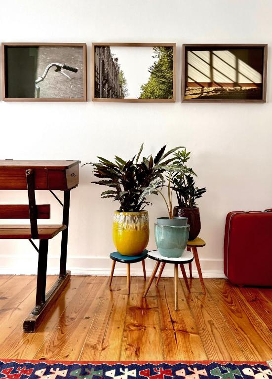 New Art Apartment - 4