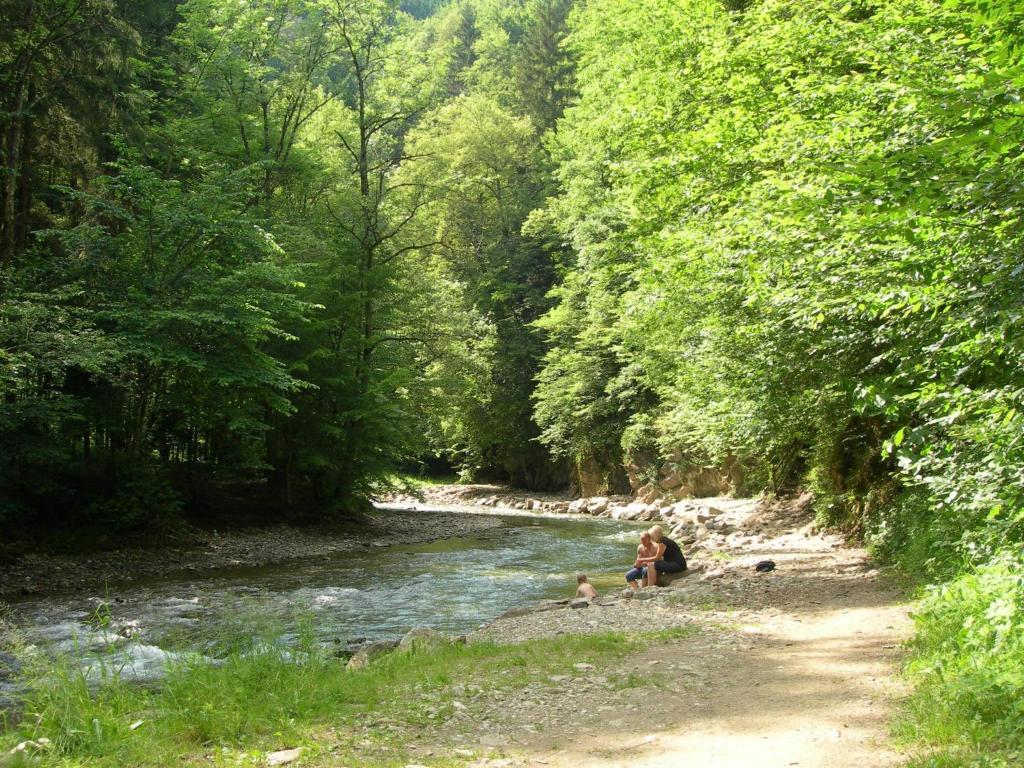 Príroda v okolí dovolenkového domu
