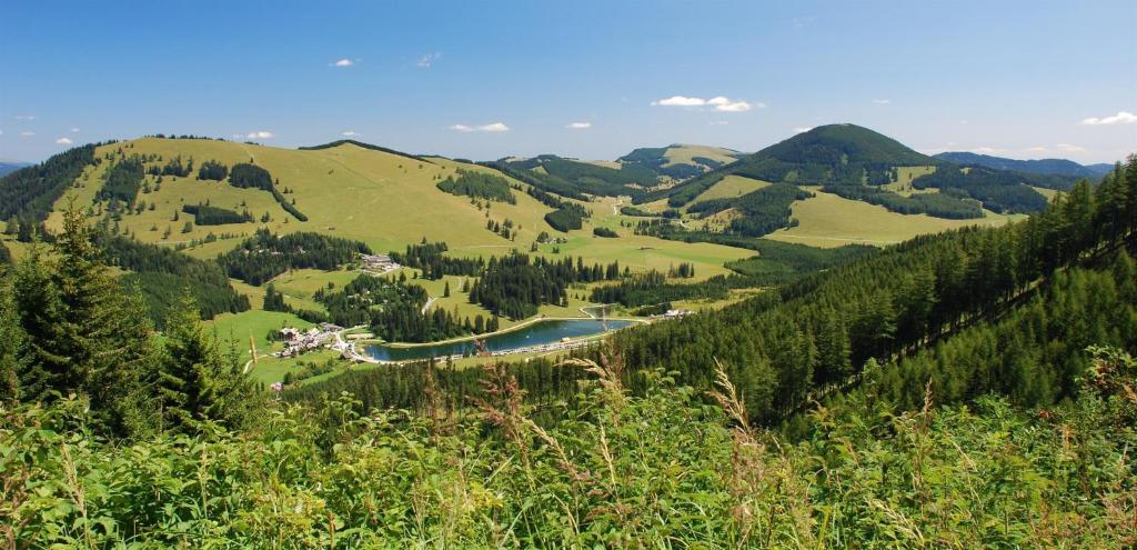 Príroda v okolí dovolenkového domu