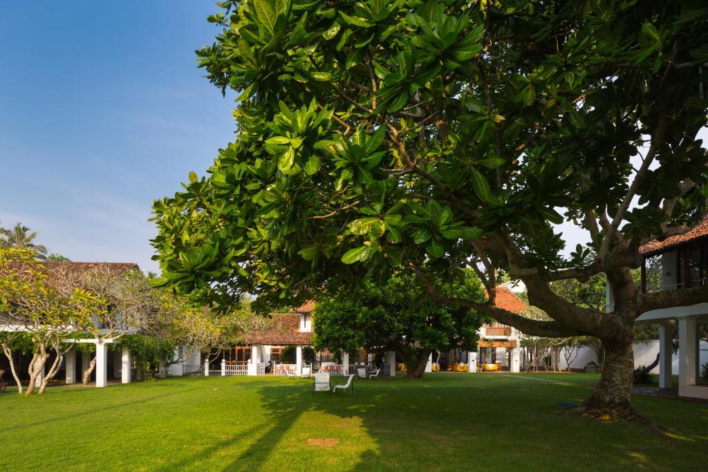 Zahrada ubytování Club Villa