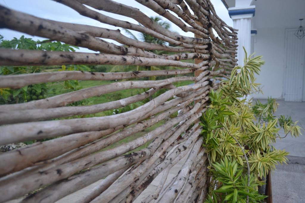 une clôture en bois avec des plantes dans l'établissement Plumeria Hébergement Tiare, à Grand-Bourg