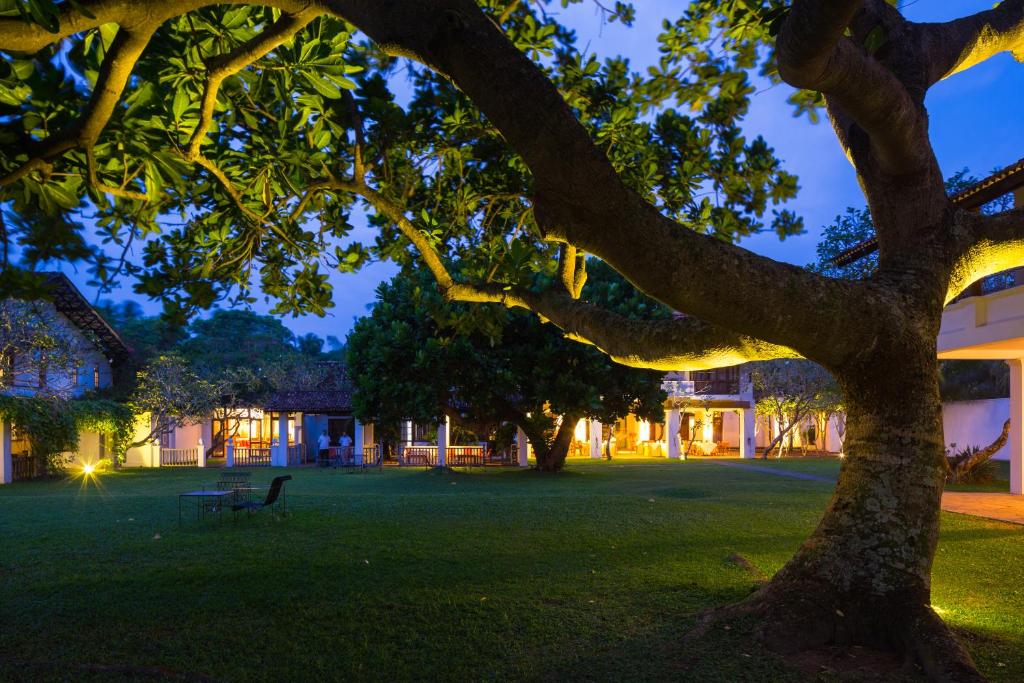 a park with a bench under a tree at night at Club Villa in Bentota