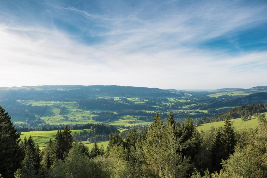 Příroda nedaleko apartmánu