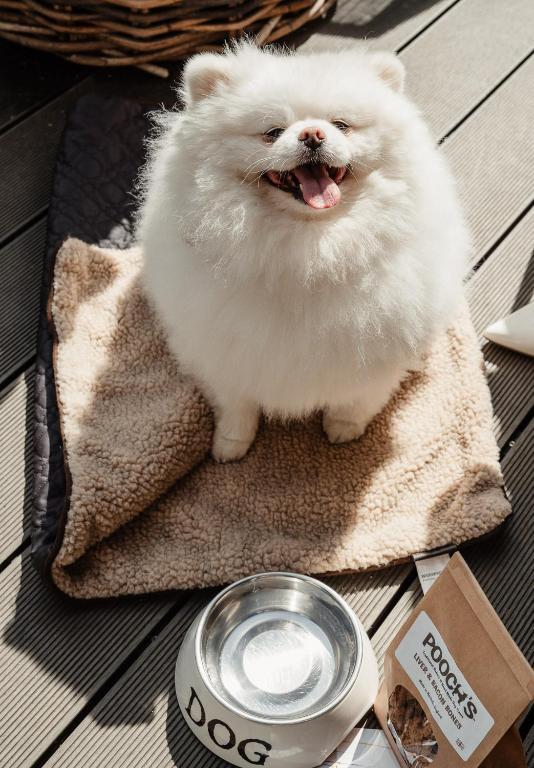 No 1 by GuestHouse, York - Resim 33