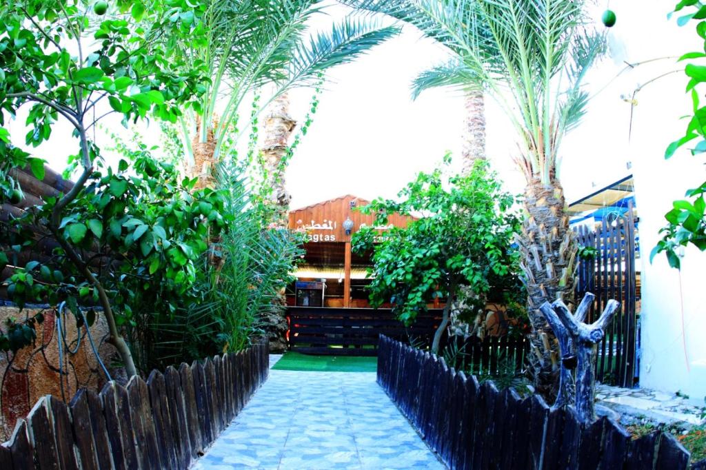 Zahrada ubytování Magtas Hotel
