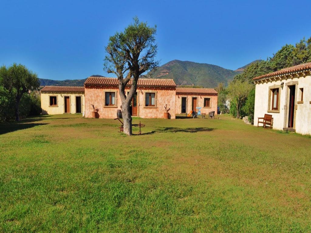 un patio verde con dos edificios y un árbol en B&B Pubulos, en Olbia