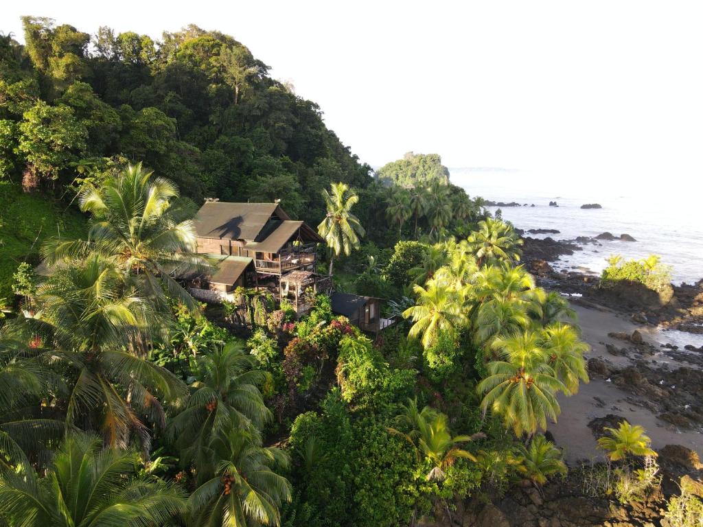 a house on a hill next to the ocean at Casa Balae in Nuquí