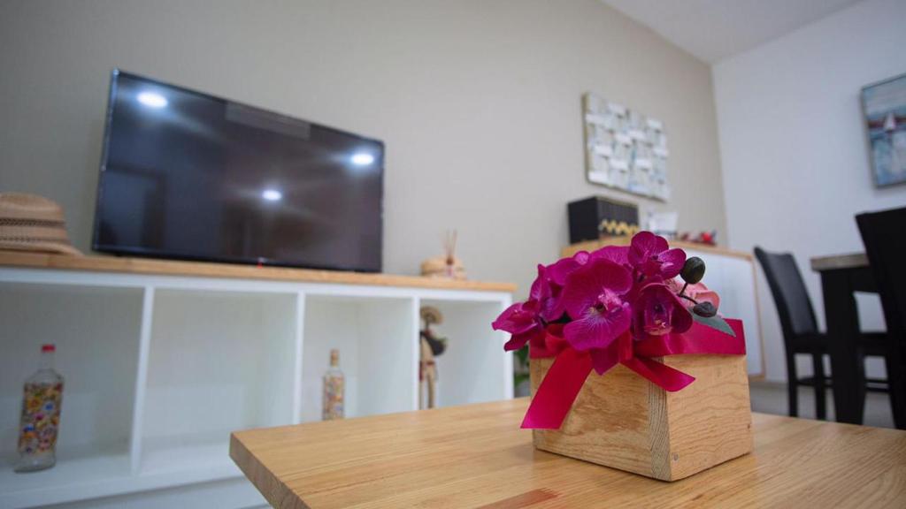 TV a/nebo společenská místnost v ubytování Shanarani Apartament