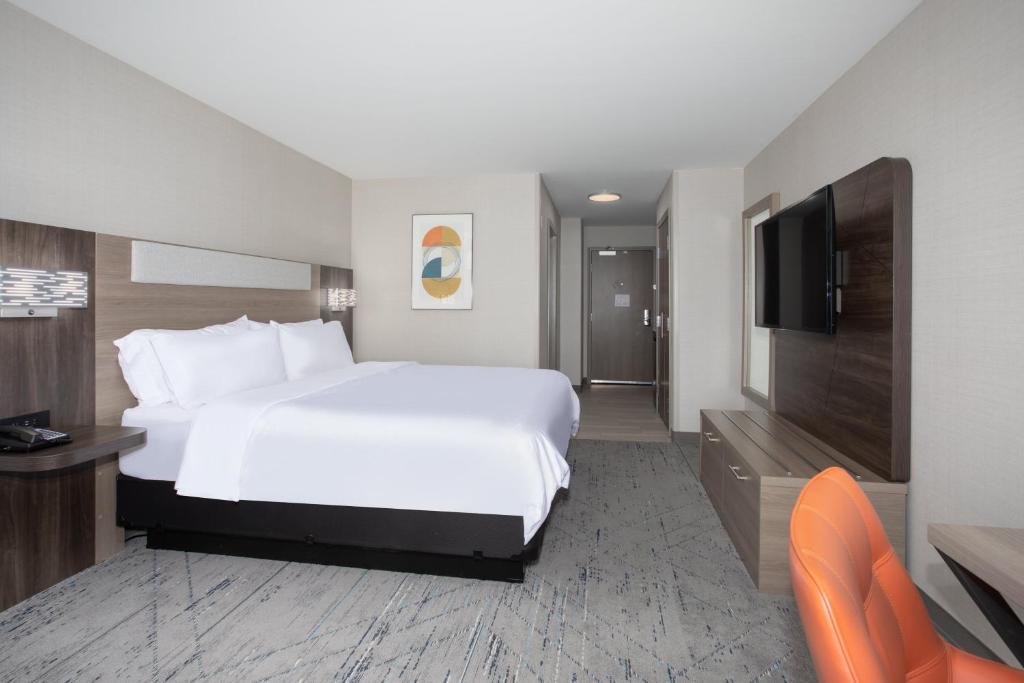 Holiday Inn Express Hotel & Suites Grand Junction, an IHG Hotel - Room King Estándar