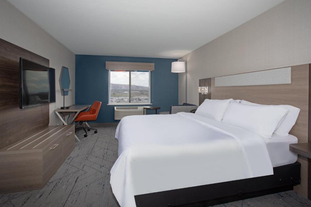 Holiday Inn Express Hotel & Suites Grand Junction, an IHG Hotel - Suite King De Una Habitación-No Fumadores