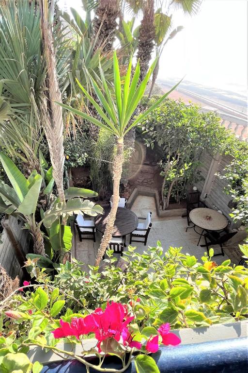 a garden with tables and chairs and palm trees at logis la marine in Sidi Ifni