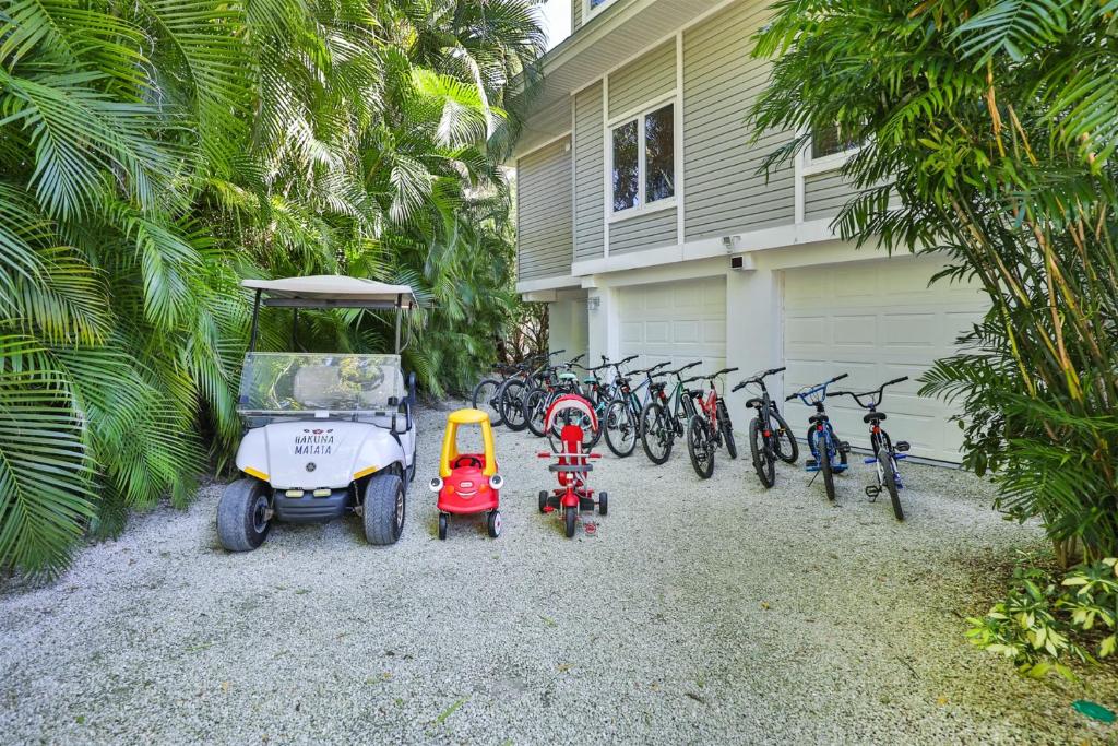 HAKUNA MATATA, Captiva Updated 2023 Prices