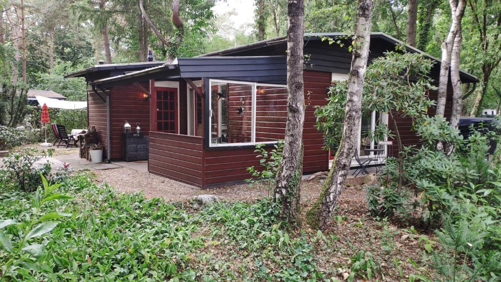 a small red cabin in the middle of a forest at Bosbungalow de Eekhoorn in Nunspeet