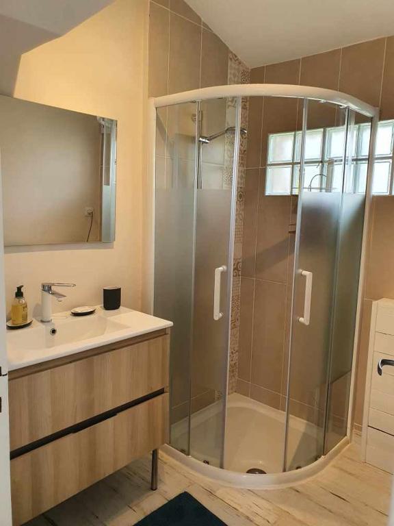 y baño con ducha y lavamanos. en Charmant séjour à Andernos, en Andernos-les-Bains