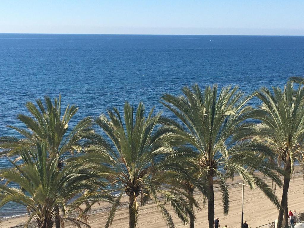 a group of palm trees on a beach with the ocean at Las Palmas 3 in Marbella