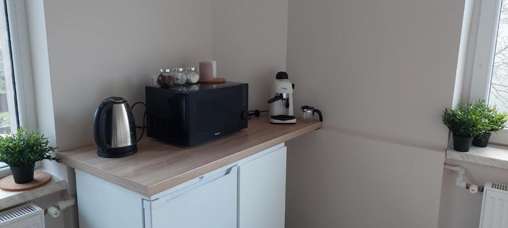 APARTAMENTY MONTANIA WISŁA的厨房或小厨房