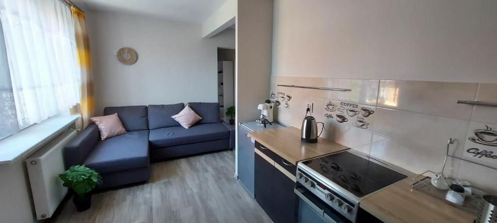APARTAMENTY MONTANIA WISŁA的厨房或小厨房