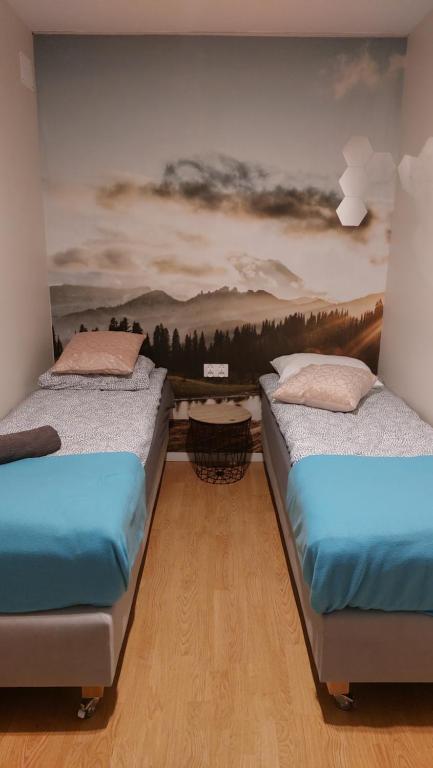 维斯瓦APARTAMENTY MONTANIA WISŁA的房间里有两张床，墙上挂着一幅画