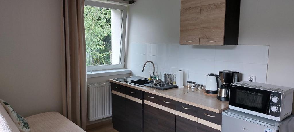 APARTAMENTY MONTANIA WISŁA的厨房或小厨房