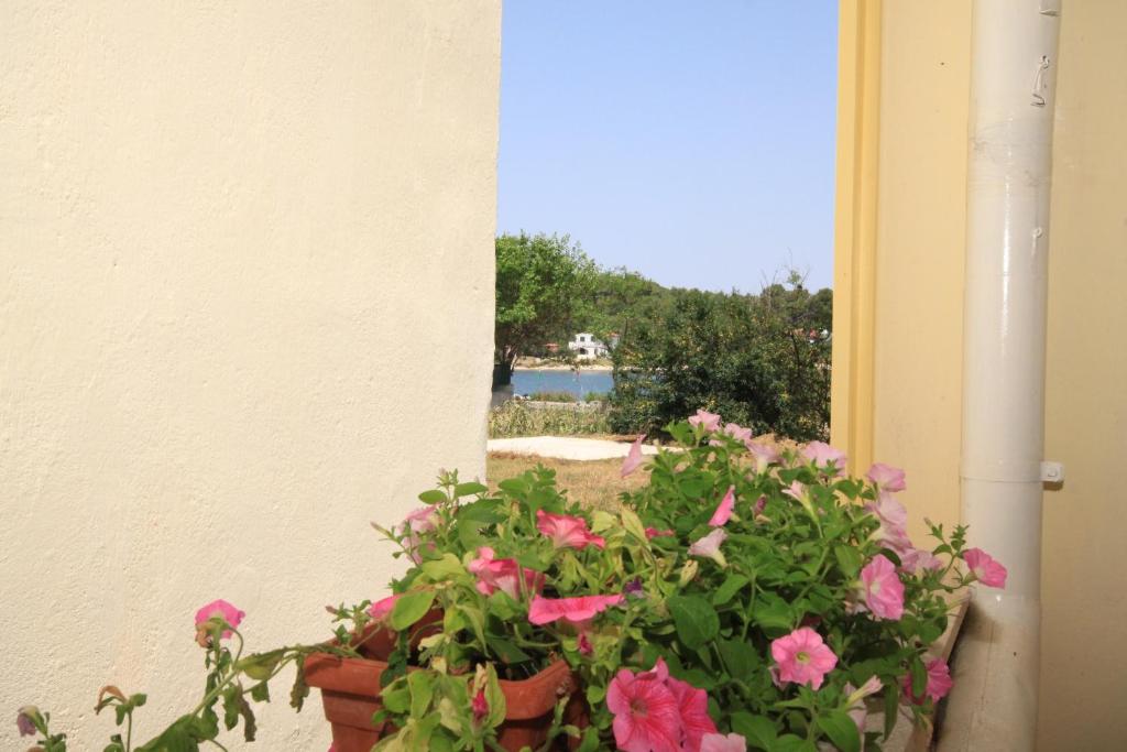 Vonkajšia záhrada v ubytovaní Apartments by the sea Veli Rat, Dugi otok - 437
