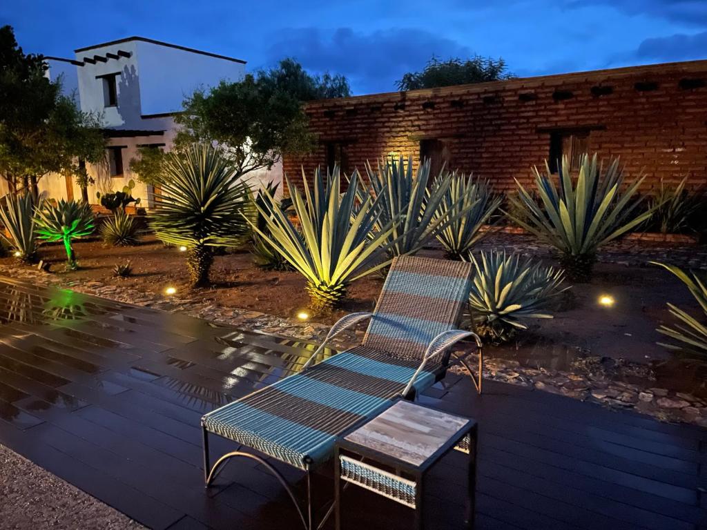 Zahrada ubytování Casa Regina Oaxaca