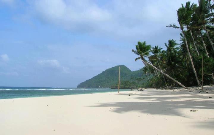 una playa de arena con palmeras y el océano en Lorenza's Cottage 1 en Buruanga