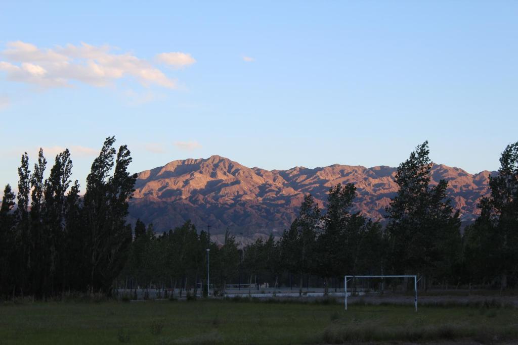 La Vicuñita Hotel & Cabañas