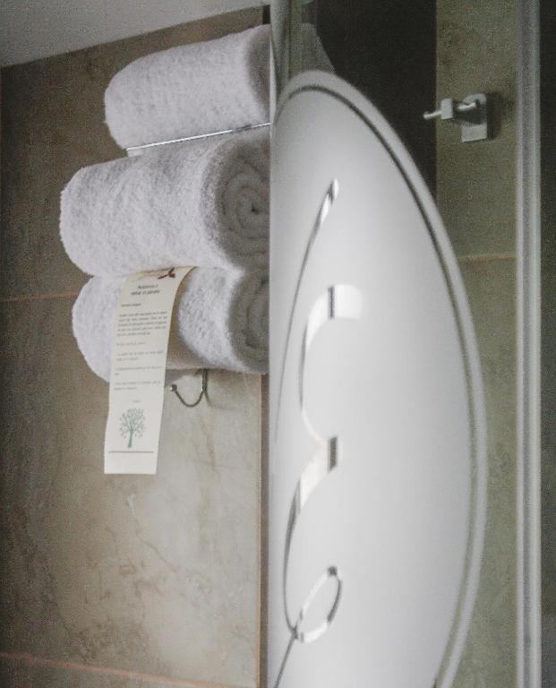 Koupelna v ubytování Villa Emilia Hostal