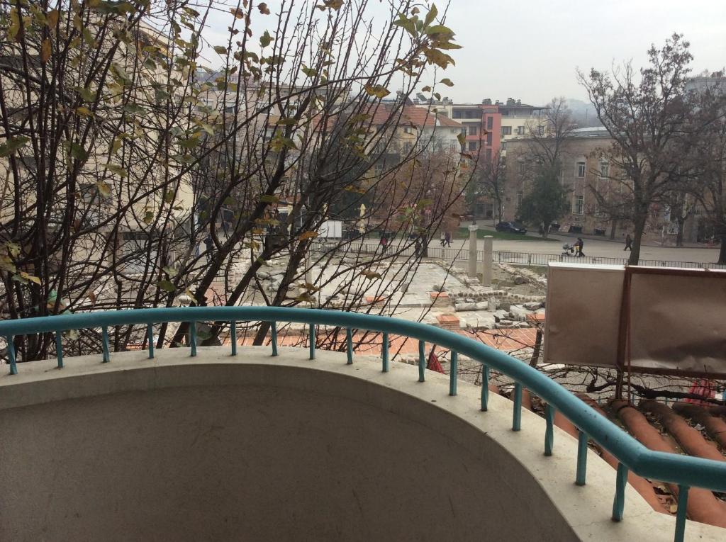 Příroda nedaleko hotelu