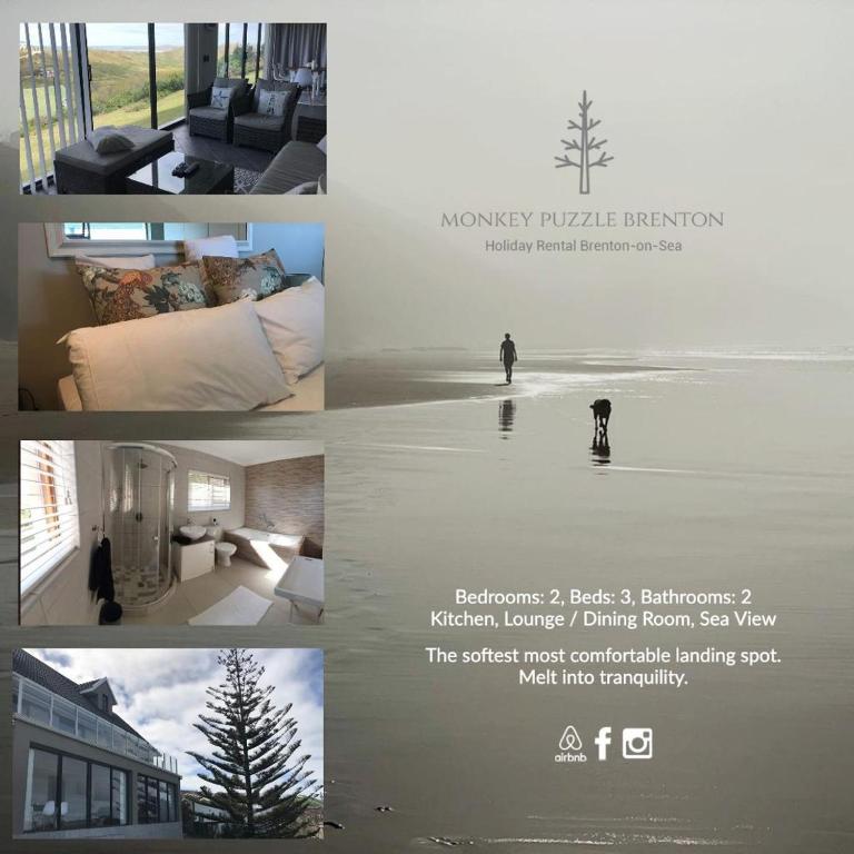 Fotografie z fotogalerie ubytování The Monkey Puzzle v destinaci Brenton-on-Sea