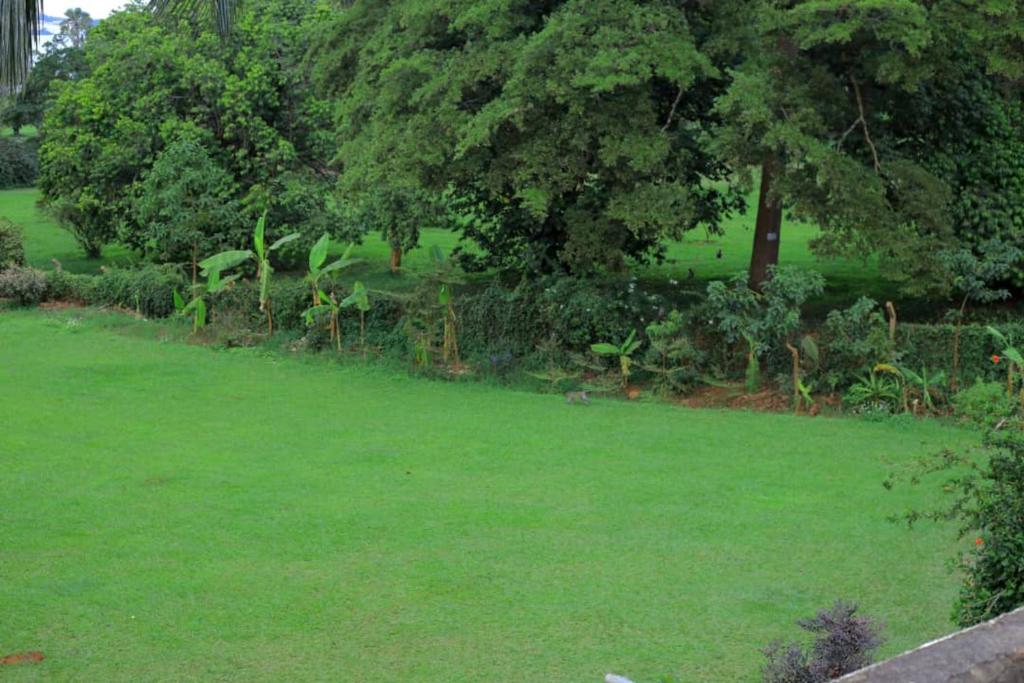 Egg Botanical View tesisinin dışında bir bahçe