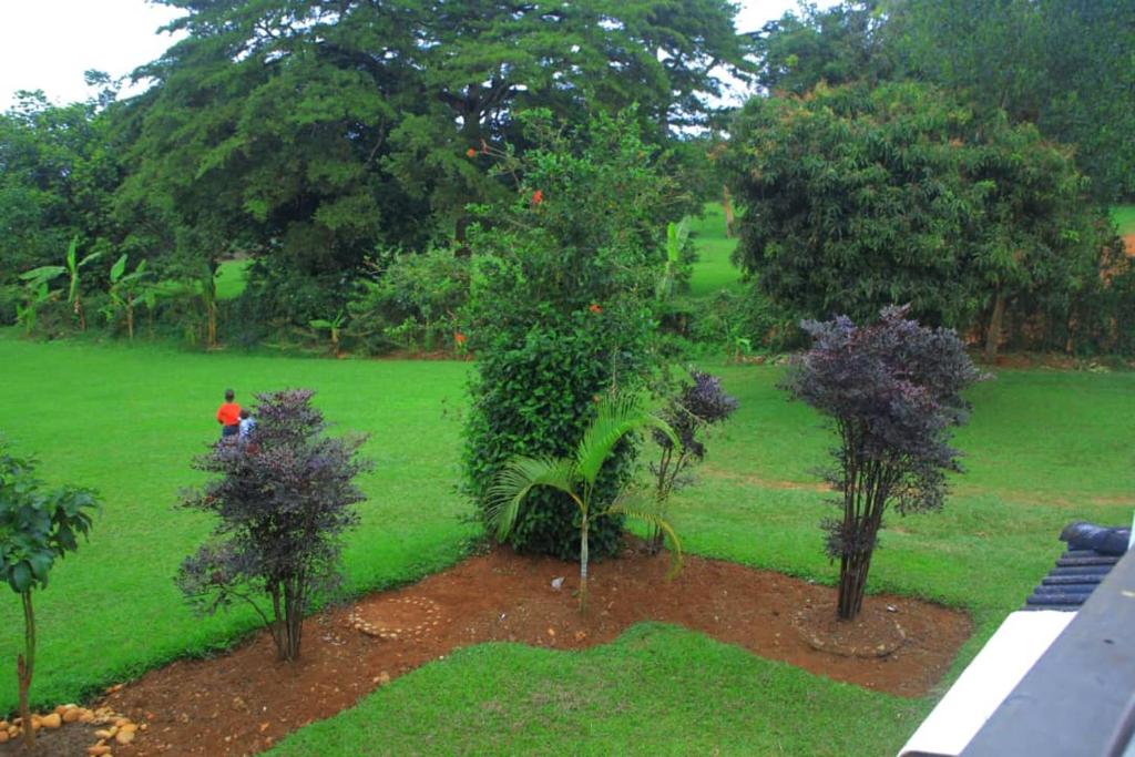 Egg Botanical View tesisinin dışında bir bahçe