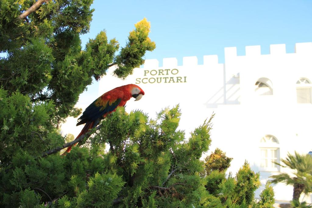 Fotografie z fotogalerie ubytování Porto Scoutari Romantic Hotel v destinaci Skala