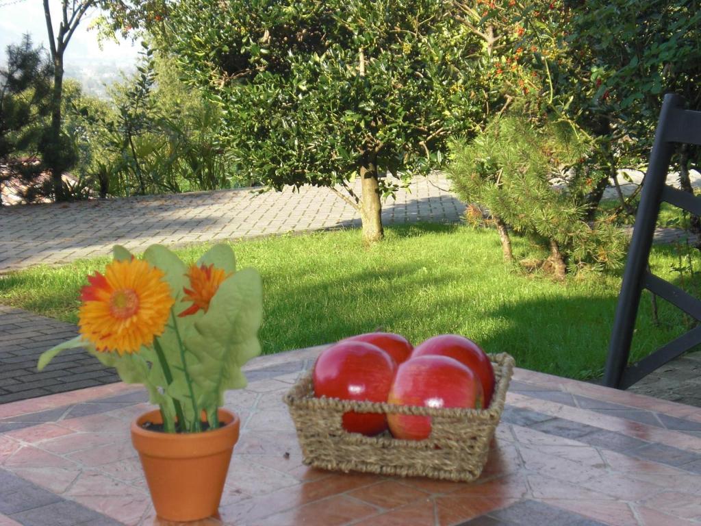 Vonkajšia záhrada v ubytovaní Carlo B Garten Ferienwohnung EG