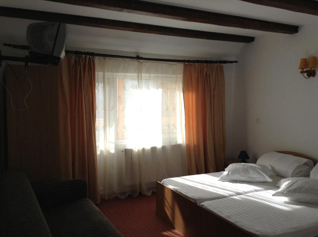a bedroom with two beds and a window at Pension Nicoleta in Costeşti